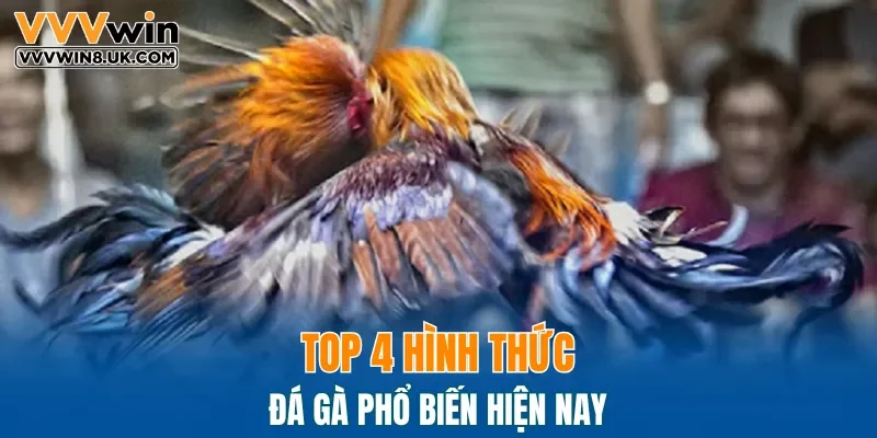 Top 4 hình thức đá gà phổ biến hiện nay